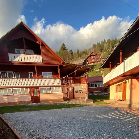 Pensiunea Daiana * Альбац