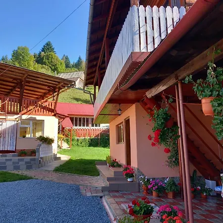 Pensiunea Daiana
