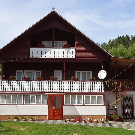 Pensiunea Daiana Альбац
